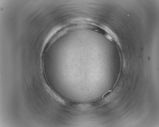 X0000078231384200611171423