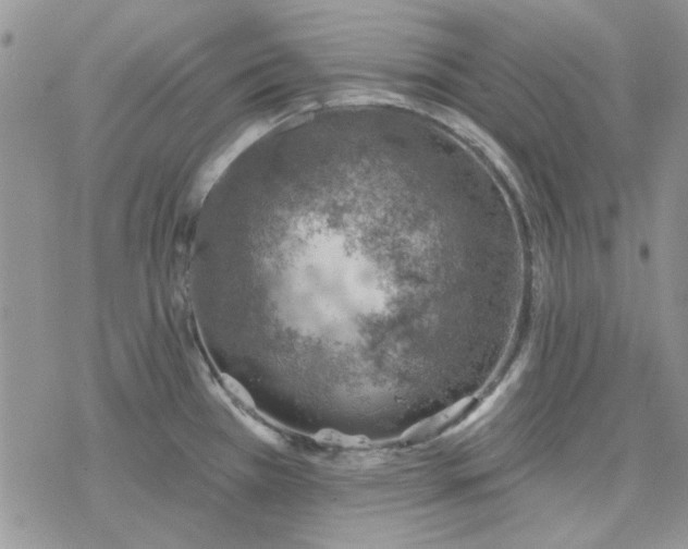 X0000078231385200611171423