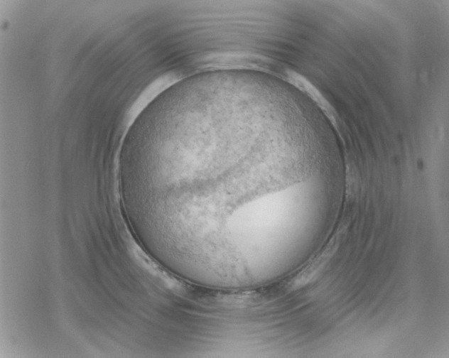 X0000078231386200611171423