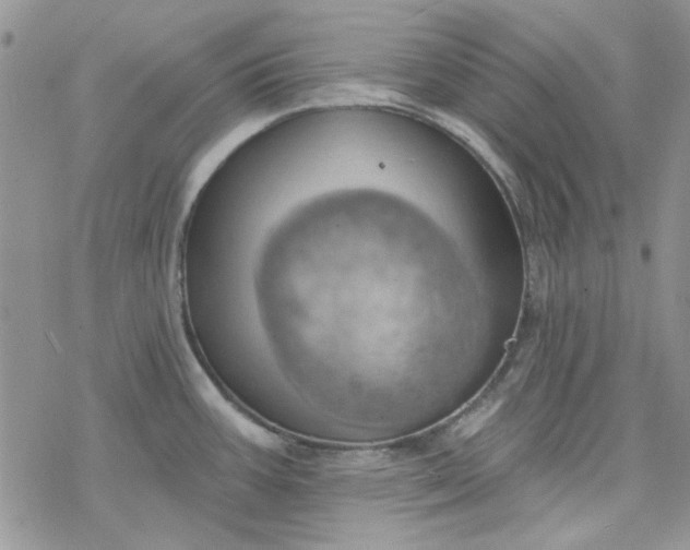 X0000078231387200611171423