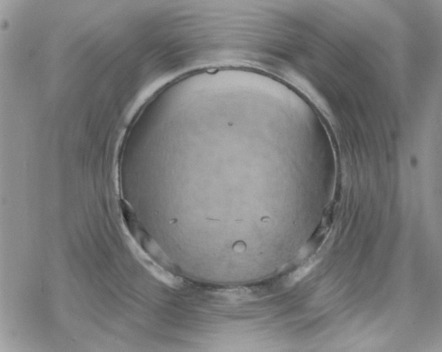 X0000078231388200611171423