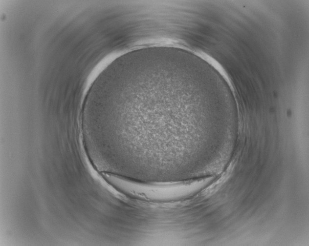 X0000078231389200611171423