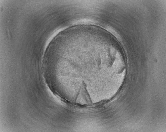 X0000078231392200611171423