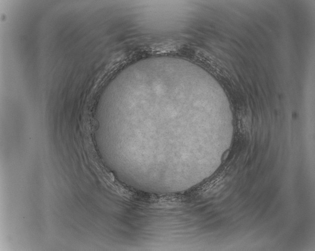 X0000078231393200611171422