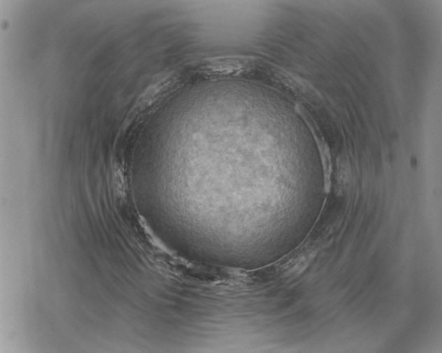 X0000078231394200611171422