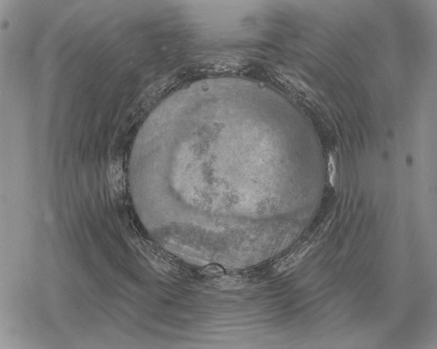 X0000078231395200611171422