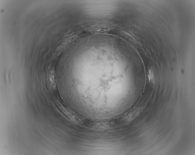 X0000078231396200611171422