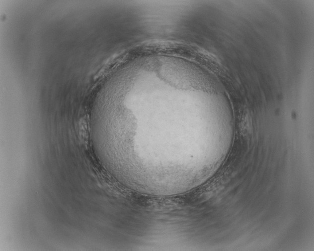 X0000078231397200611171422