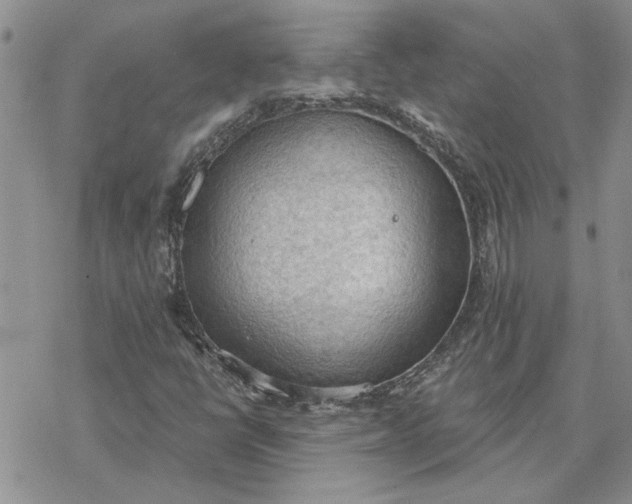 X0000078231398200611171422