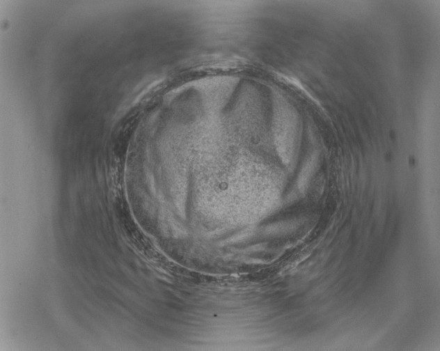 X0000078231399200611171422