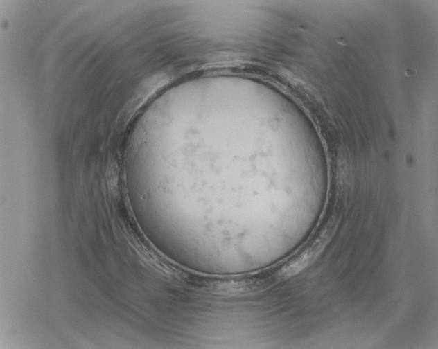 X0000078231401200611171422