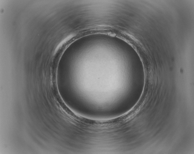 X0000078231402200611171422