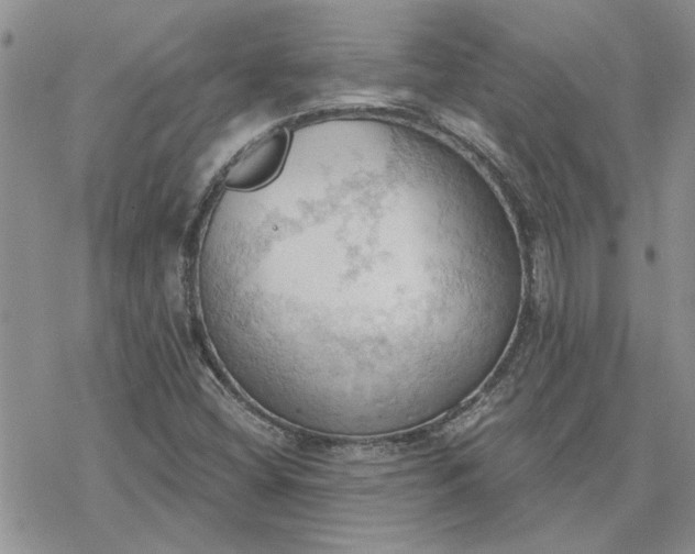 X0000078231404200611171422