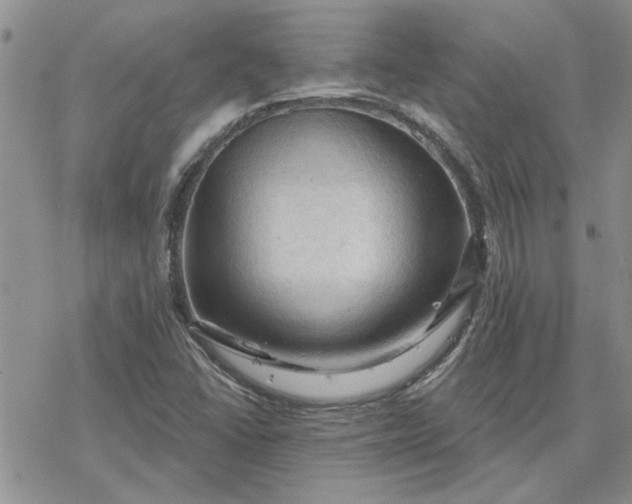 X0000078231406200611171422