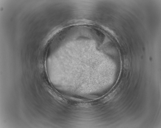 X0000078231407200611171422