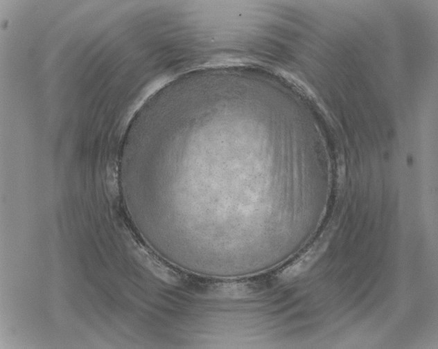 X0000078231409200611171422