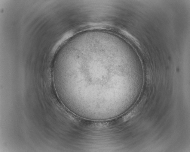 X0000078231411200611171422