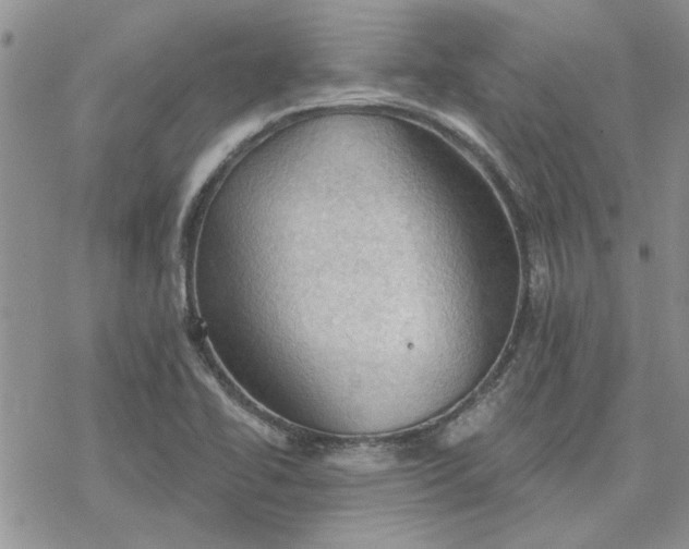 X0000078231414200611171422