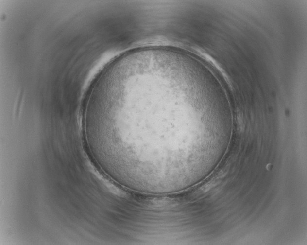 X0000078231416200611171422