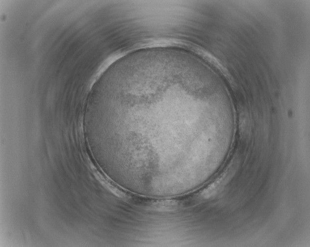 X0000078231417200611171422