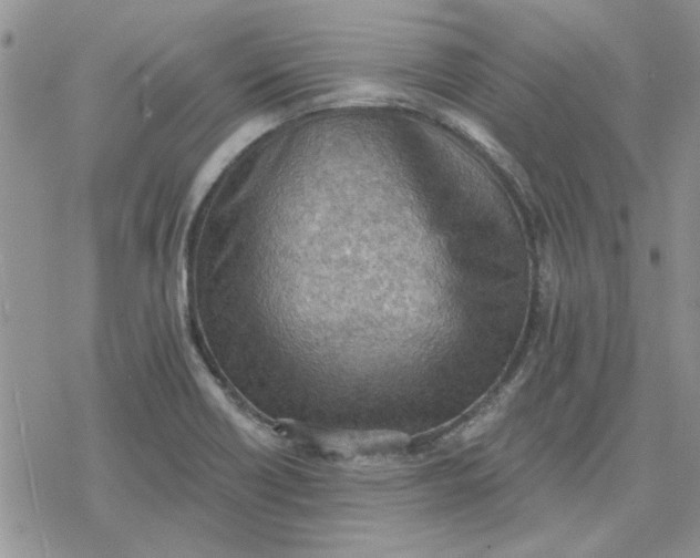 X0000078231418200611171422