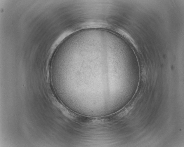 X0000078231419200611171422