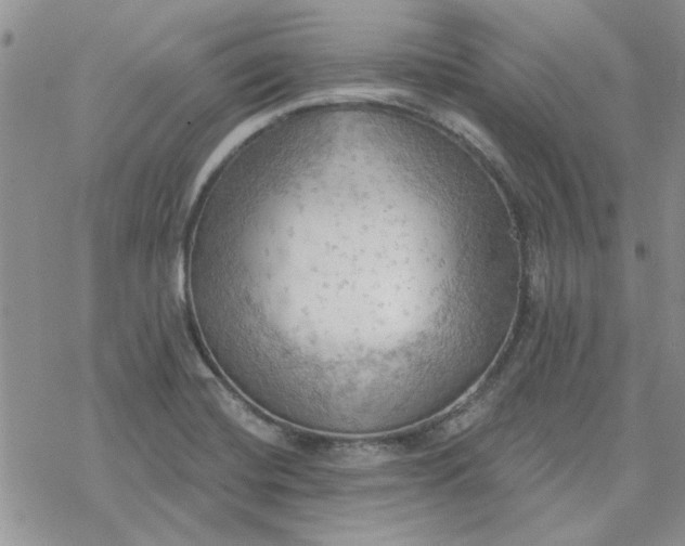 X0000078231420200611171422