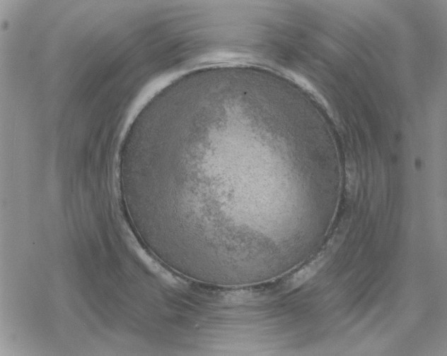 X0000078231421200611171422