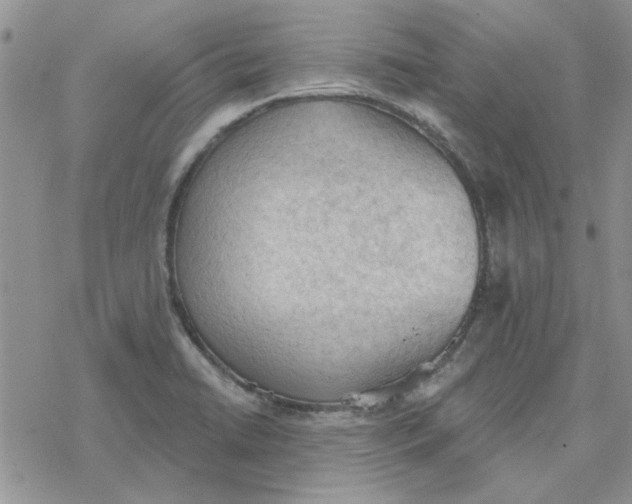 X0000078231422200611171422