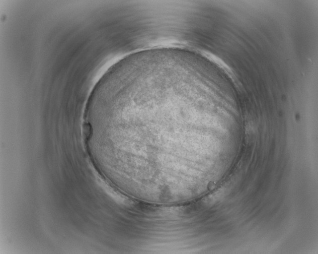 X0000078231423200611171422