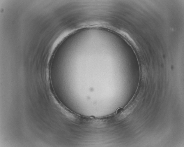 X0000078231424200611171422