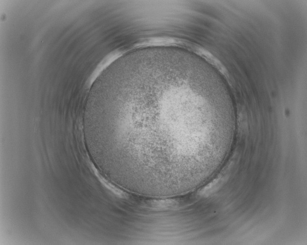 X0000078231425200611171422