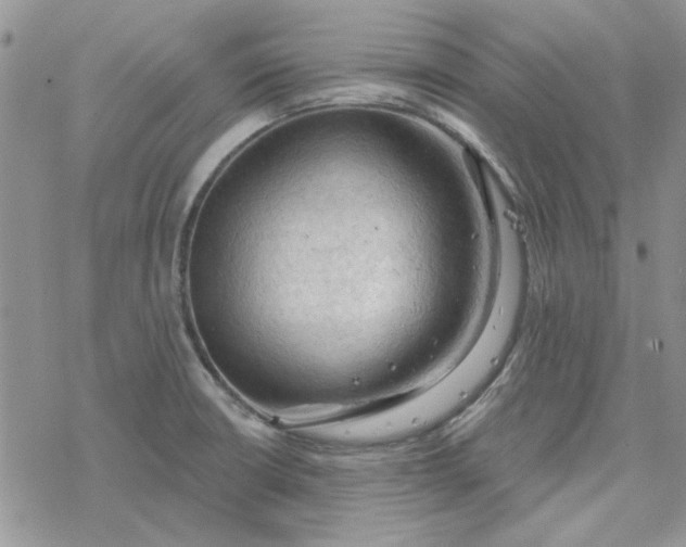 X0000078231426200611171422