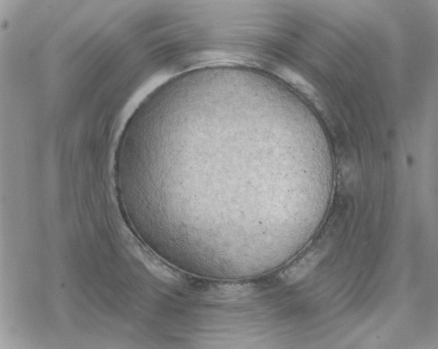 X0000078231427200611171422