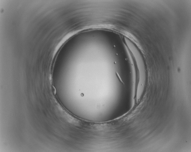 X0000078231428200611171422