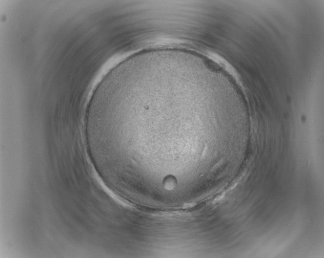 X0000078231429200611171422