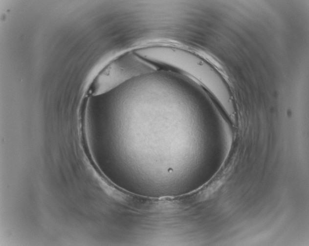 X0000078231430200611171422