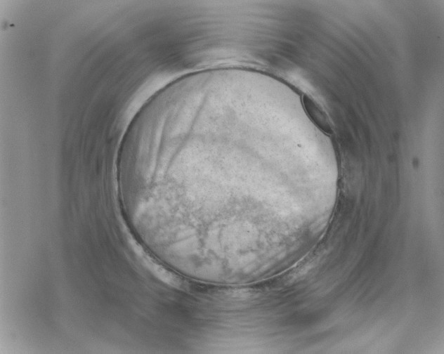 X0000078231431200611171422