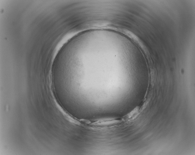 X0000078231432200611171422