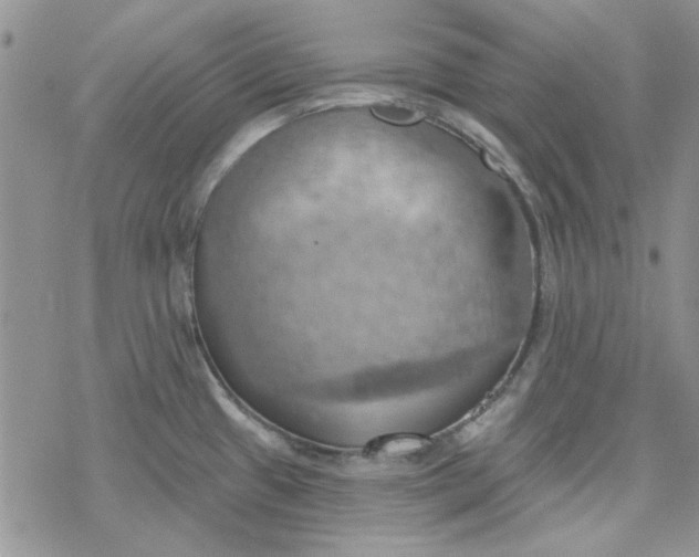 X0000078231433200611171422