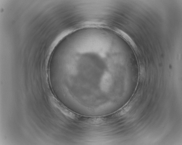 X0000078231435200611171422