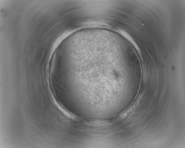 X0000078231437200611171423