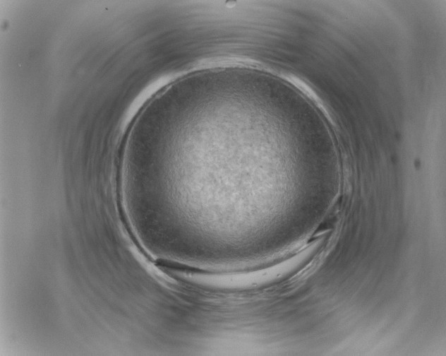 X0000078231438200611171423