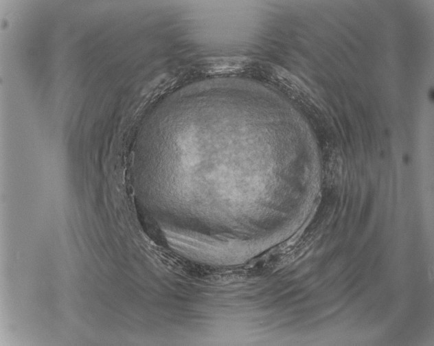 X0000078231441200611171422