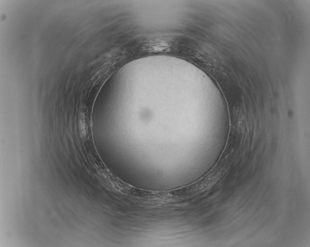 X0000078231442200611171422