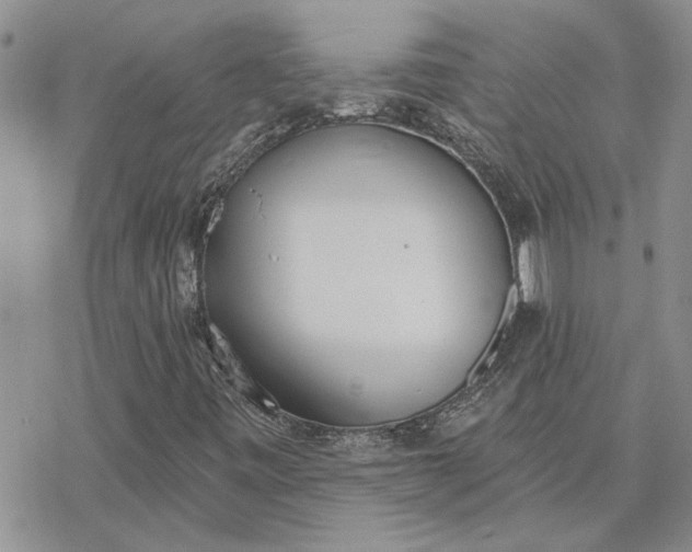 X0000078231443200611171422