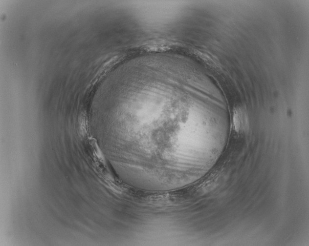 X0000078231444200611171422