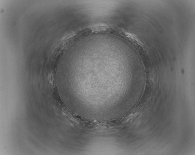 X0000078231445200611171422