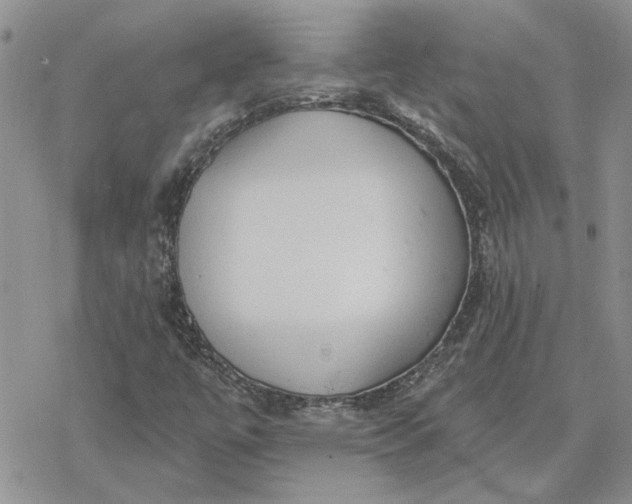 X0000078231447200611171422