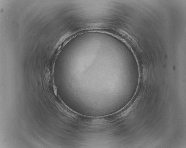 X0000078231449200611171422